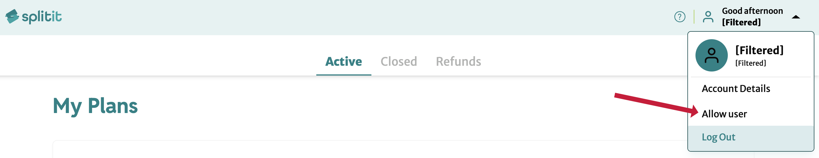allow user